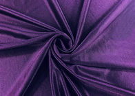 200GSM 84% Nylon Bathing Suit Material / Spandex Bathing Suit Fabric Purple
